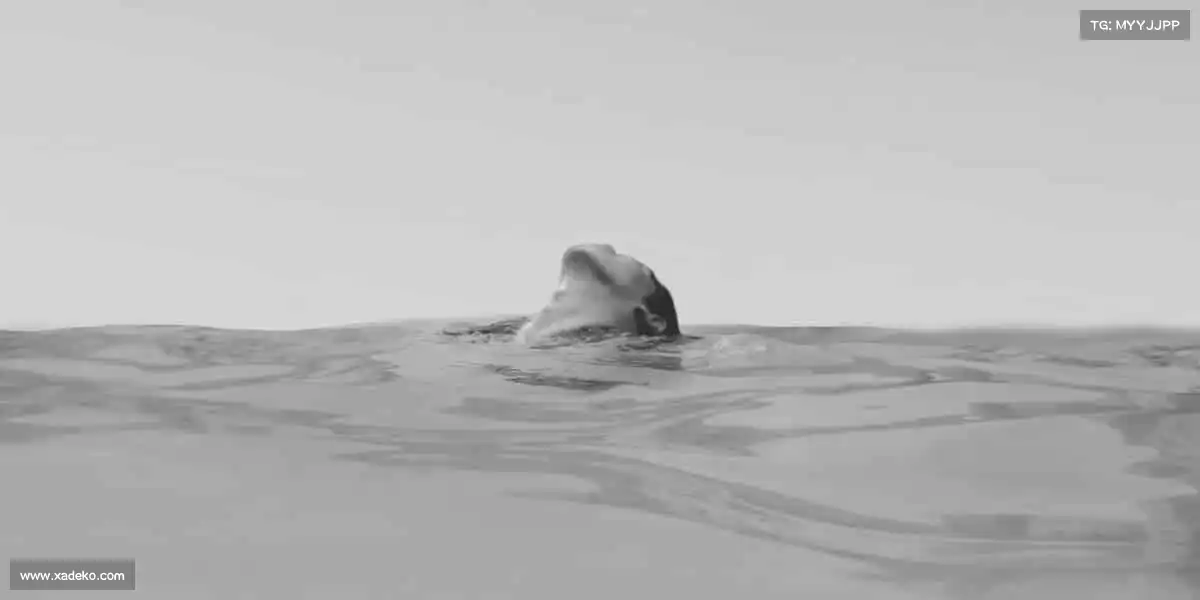 球迷群英汇聚🤼♂️挑战极限,每一刻都是新起点!