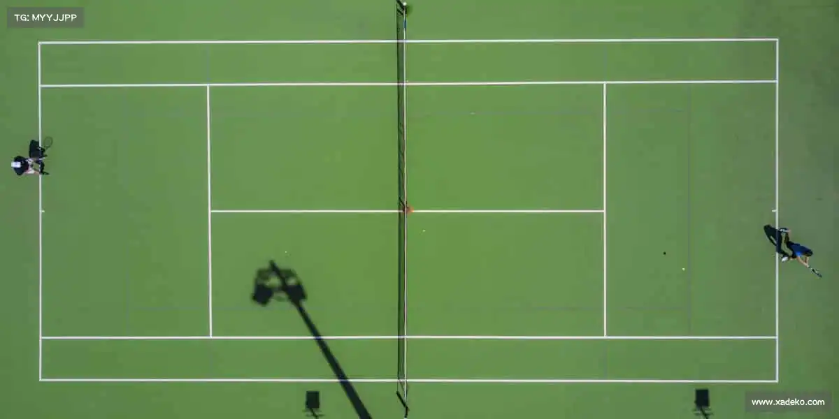 我们的核心竞争力